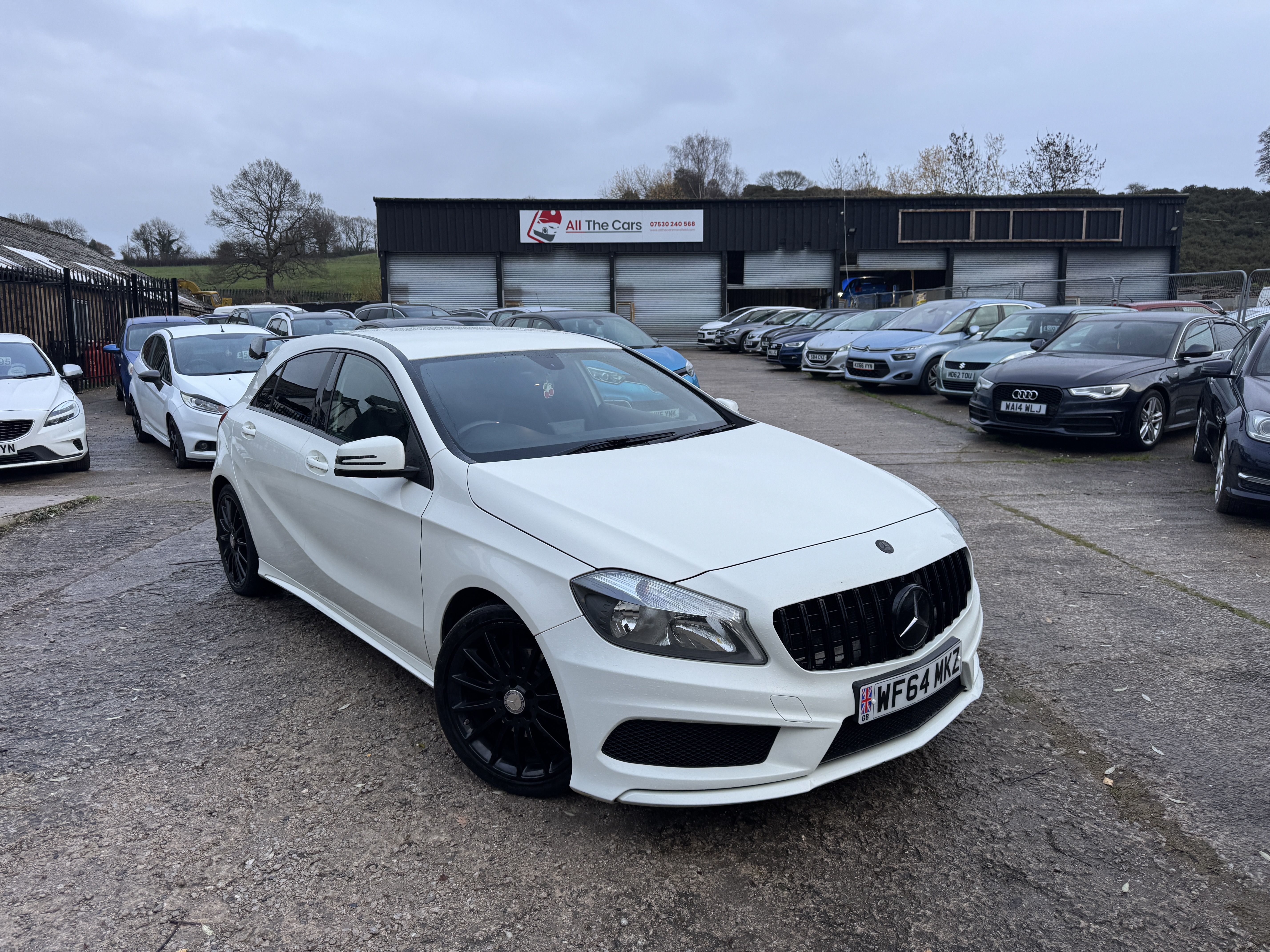 2014 Mercedes-Benz  A Class